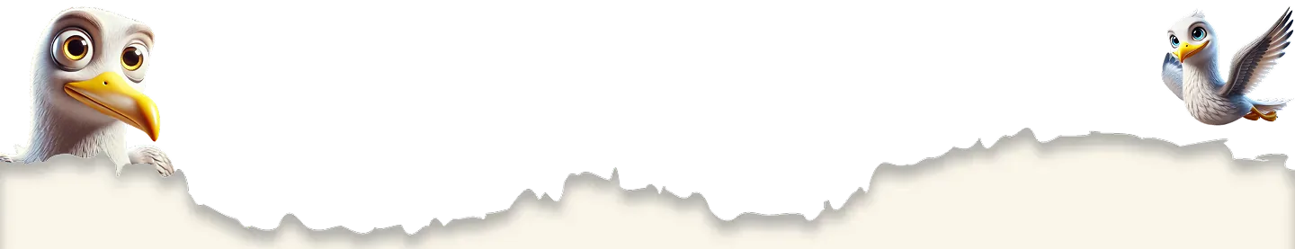 frame